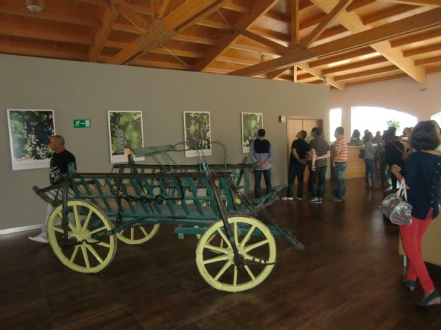 Ruta del Vino en Jumilla. 12/10/2013 - 24