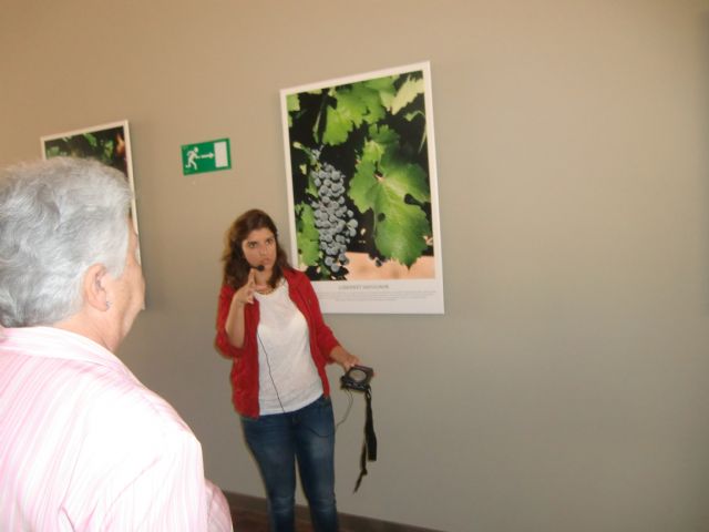Ruta del Vino en Jumilla. 12/10/2013 - 30