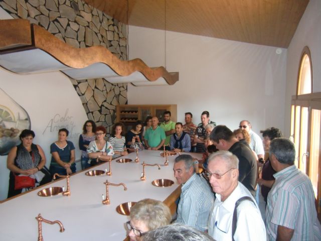 Ruta del Vino en Jumilla. 12/10/2013 - 33