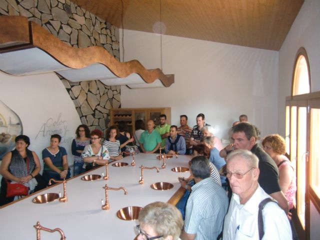 Ruta del Vino en Jumilla. 12/10/2013 - 35
