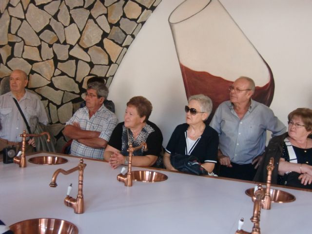 Ruta del Vino en Jumilla. 12/10/2013 - 38
