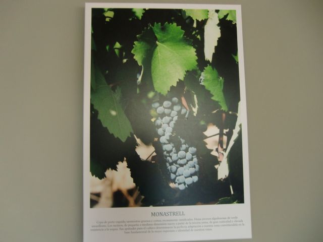 Ruta del Vino en Jumilla. 12/10/2013 - 40