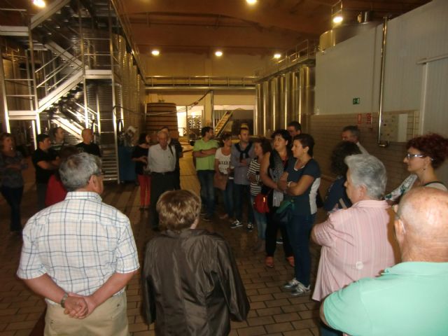 Ruta del Vino en Jumilla. 12/10/2013 - 5