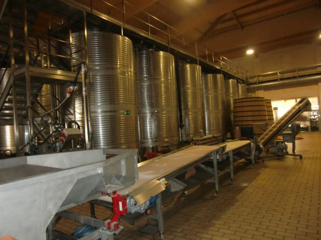 Ruta del Vino en Jumilla. 12/10/2013 - 7