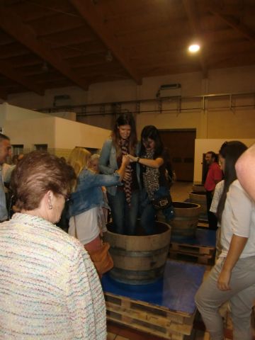 Ruta del Vino en Jumilla. 12/10/2013 - 10