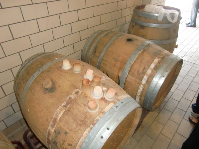 Ruta del Vino en Jumilla. 12/10/2013 - 11