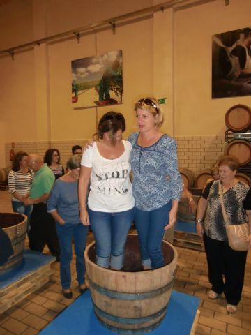 Ruta del Vino en Jumilla. 12/10/2013 - 12
