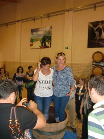 Ruta del Vino en Jumilla. 12/10/2013 - 13