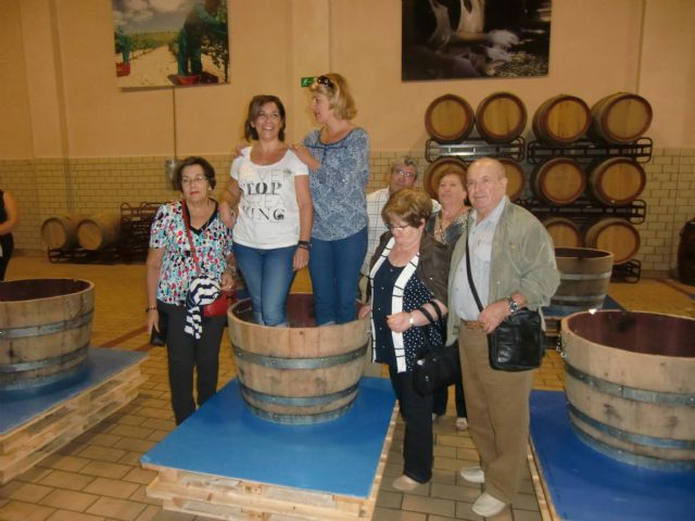 Ruta del Vino en Jumilla. 12/10/2013 - 42