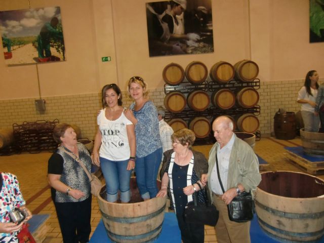 Ruta del Vino en Jumilla. 12/10/2013 - 43