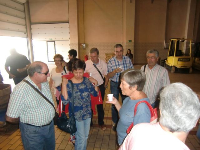 Ruta del Vino en Jumilla. 12/10/2013 - 44