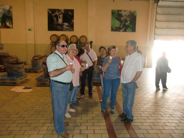 Ruta del Vino en Jumilla. 12/10/2013 - 47