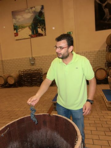 Ruta del Vino en Jumilla. 12/10/2013 - 49
