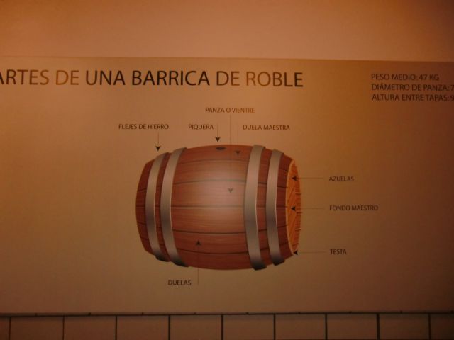 Ruta del Vino en Jumilla. 12/10/2013 - 51