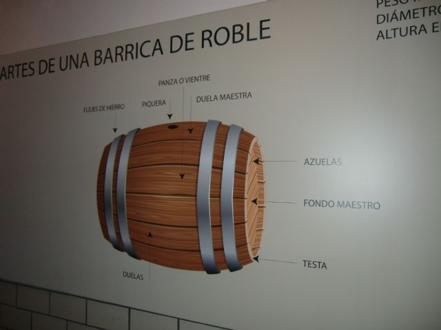 Ruta del Vino en Jumilla. 12/10/2013 - 52
