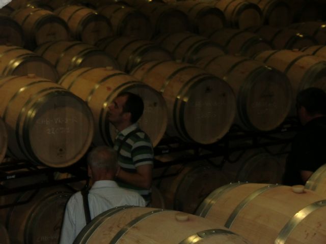 Ruta del Vino en Jumilla. 12/10/2013 - 55