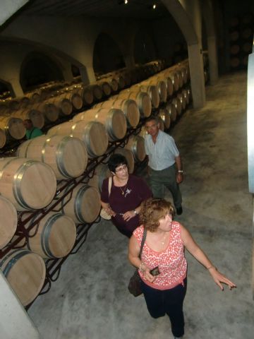 Ruta del Vino en Jumilla. 12/10/2013 - 56