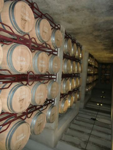 Ruta del Vino en Jumilla. 12/10/2013 - 57