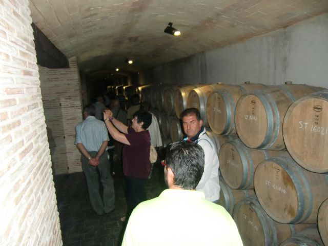 Ruta del Vino en Jumilla. 12/10/2013 - 62