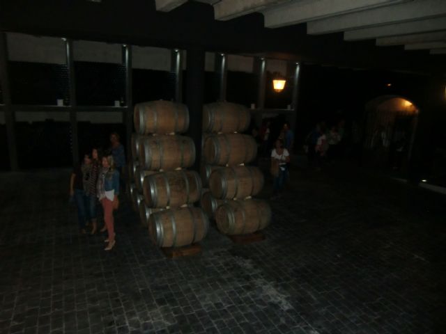 Ruta del Vino en Jumilla. 12/10/2013 - 64