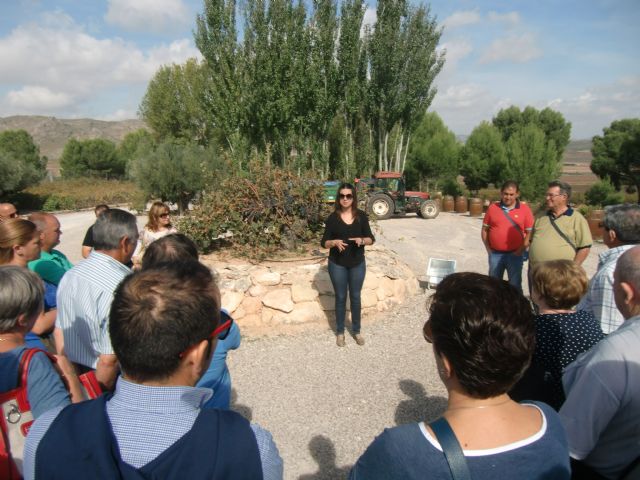 Ruta del Vino en Jumilla. 12/10/2013 - 117