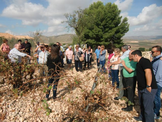 Ruta del Vino en Jumilla. 12/10/2013 - 118