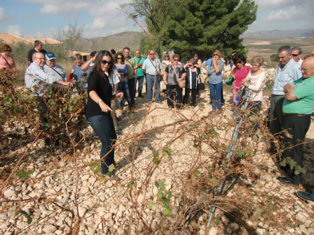 Ruta del Vino en Jumilla. 12/10/2013 - 122