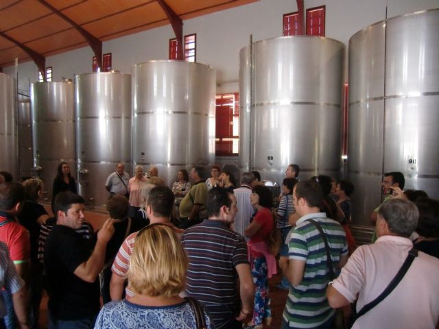 Ruta del Vino en Jumilla. 12/10/2013 - 129