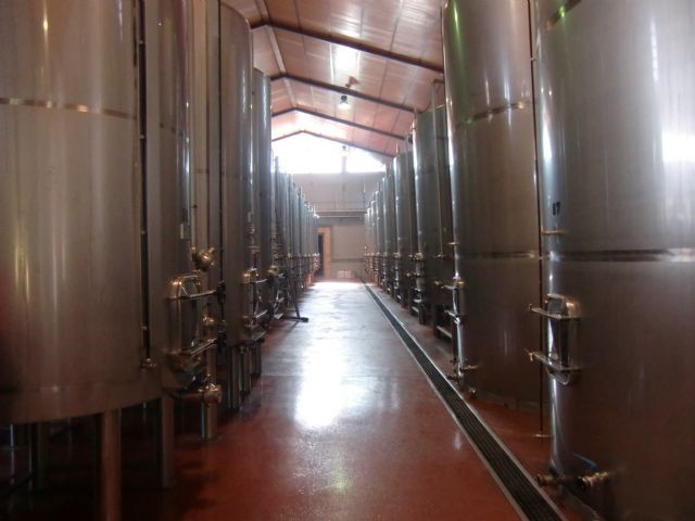 Ruta del Vino en Jumilla. 12/10/2013 - 87
