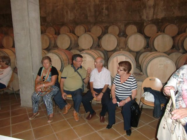 Ruta del Vino en Jumilla. 12/10/2013 - 98
