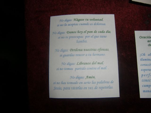 Ruta del Vino en Jumilla. 12/10/2013 - 151