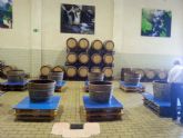 ruta-vino-jumilla - Foto 238