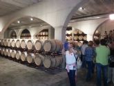 ruta-vino-jumilla - Foto 239