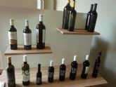 ruta-vino-jumilla - Foto 251
