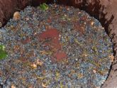 ruta-vino-jumilla - Foto 48