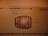 ruta-vino-jumilla - Foto 51
