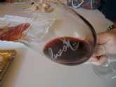 ruta-vino-jumilla - Foto 102