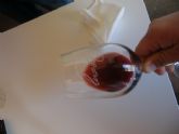 ruta-vino-jumilla - Foto 103