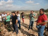 ruta-vino-jumilla - Foto 120