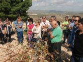 ruta-vino-jumilla - Foto 121
