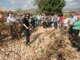 ruta-vino-jumilla - Foto 122