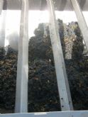 ruta-vino-jumilla - Foto 125