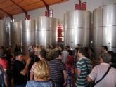 ruta-vino-jumilla - Foto 129