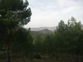 ruta-vino-jumilla - Foto 206