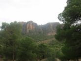 ruta-vino-jumilla - Foto 211