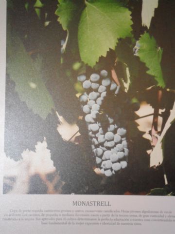 2. Ruta del Vino en Jumilla. 12/10/2013  - 13