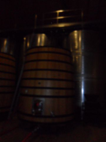 2. Ruta del Vino en Jumilla. 12/10/2013  - 28