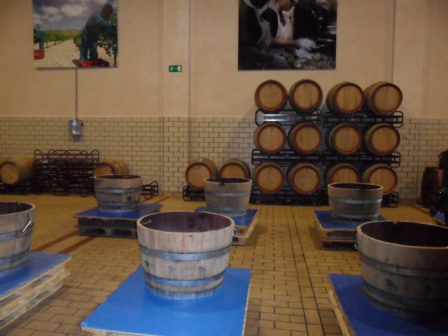 2. Ruta del Vino en Jumilla. 12/10/2013  - 34