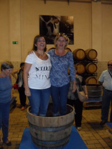 2. Ruta del Vino en Jumilla. 12/10/2013  - 37