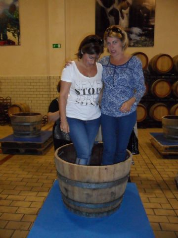 2. Ruta del Vino en Jumilla. 12/10/2013  - 39